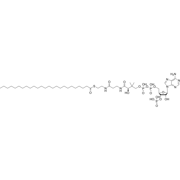 Pentacosanoyl-CoA Chemical Structure