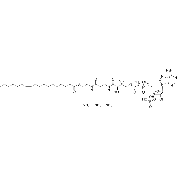 (11Z-Octadecenoyl)-CoA triammonium Chemical Structure