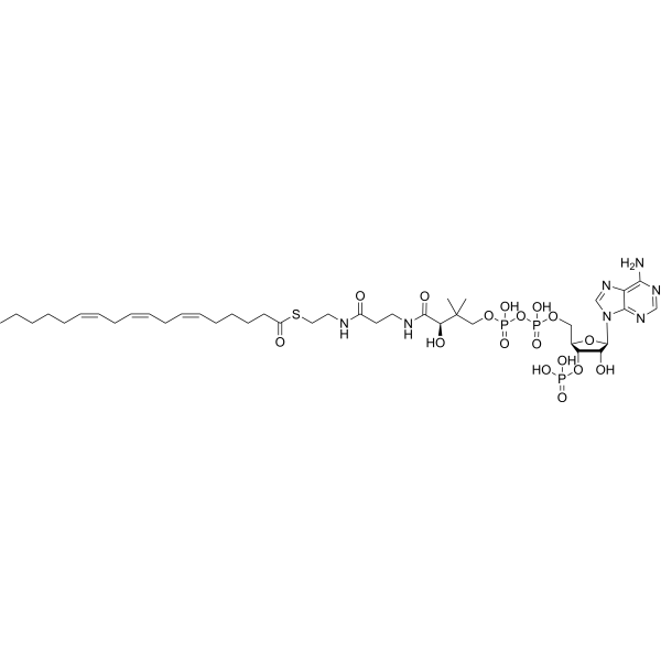 γ-Linolenoyl-CoA Chemical Structure