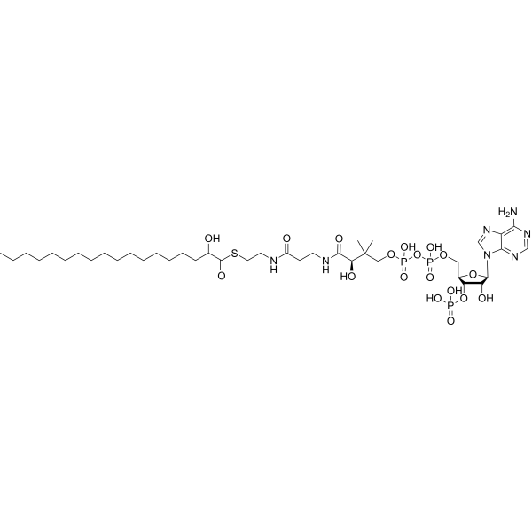 2-Hydroxystearoyl-CoA Chemical Structure