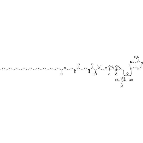 Nonadecanoyl-CoA Chemical Structure
