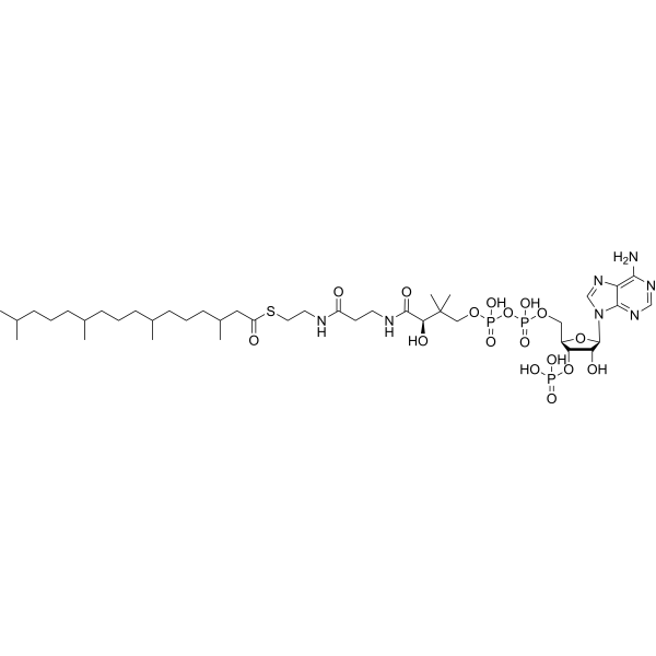 Phytanoyl-CoA Chemical Structure