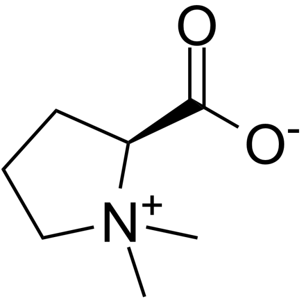 Stachydrine Chemical Structure
