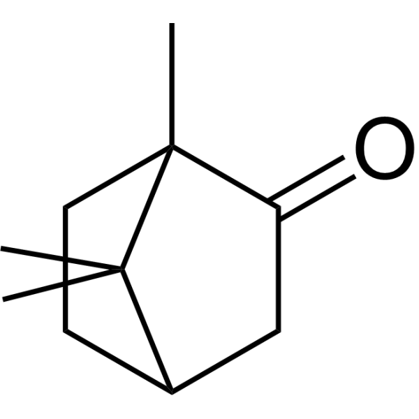Camphor Chemical Structure