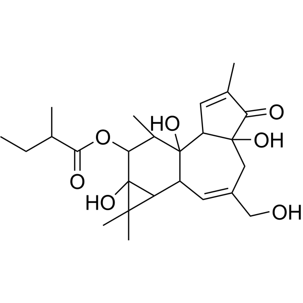 (Rac)-<em>Phorbol</em>-12-(2-methylbutyrate)