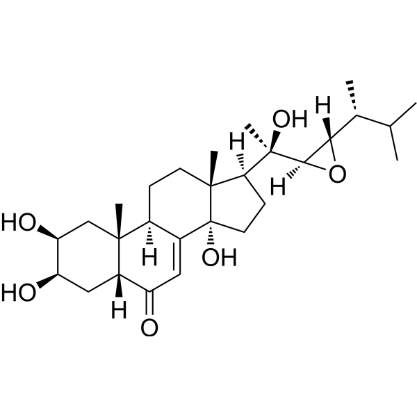 Polyporusterone C
