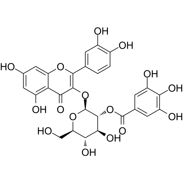Quercetin-3-<em>O</em>-(<em>2</em>′′-<em>O</em>-galloyl)-β-D-glucopyranoside