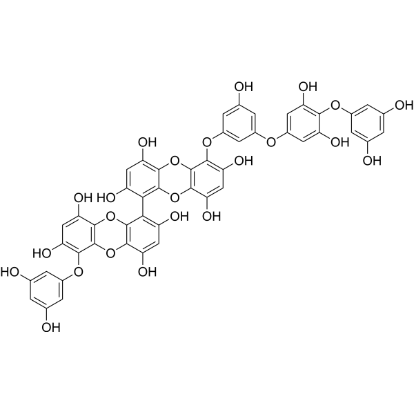 Pyrogallol-phloroglucinol-6,6-bieckol