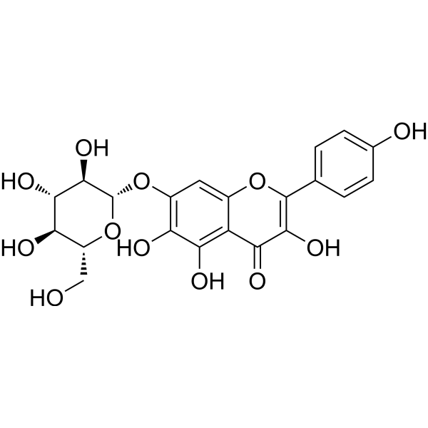 6-Hydroxykaempferol 7-O-β-glucopyranoside