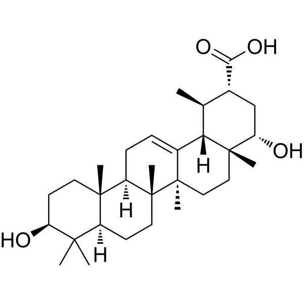 Triptotriterpenic acid C Chemical Structure