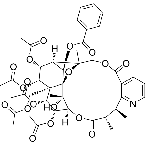 Cangorinine E-1 Chemical Structure