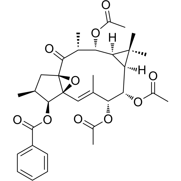 Ingol 7,8,12-triacetate <em>3</em>-phenylacetate