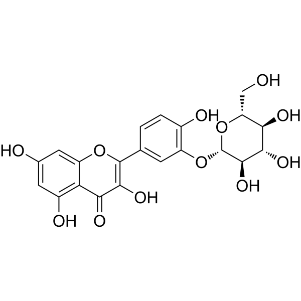 Quercetin-3'-O-glucoside