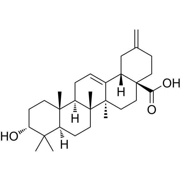 3<em>α</em>-Akebonoic acid