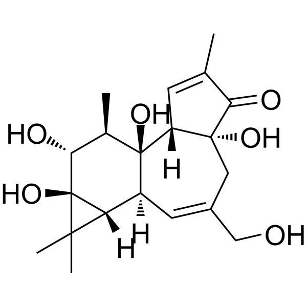 Phorbol Chemical Structure