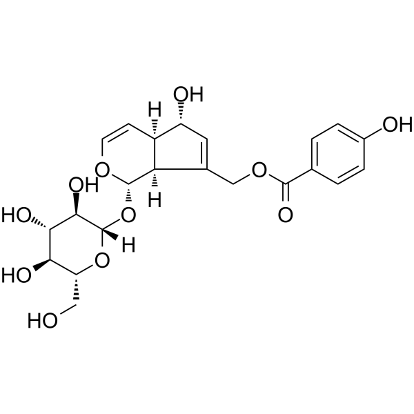 Agnuside Chemical Structure