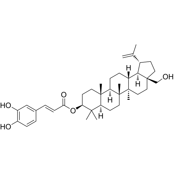Betulin caffeate Chemical Structure