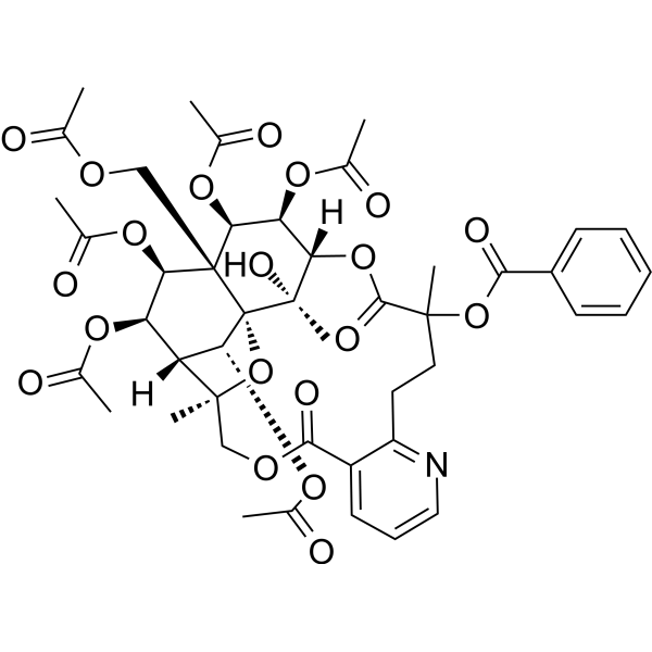 Wilfornine A Chemical Structure