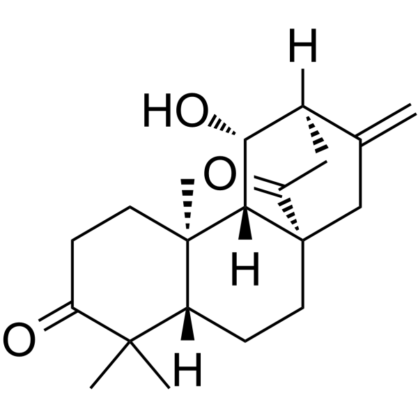 ent-11β-Hydroxyatis-16-ene-3,14-dione Chemical Structure