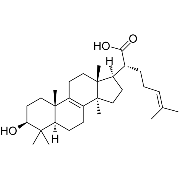 Trametenolic acid Chemical Structure