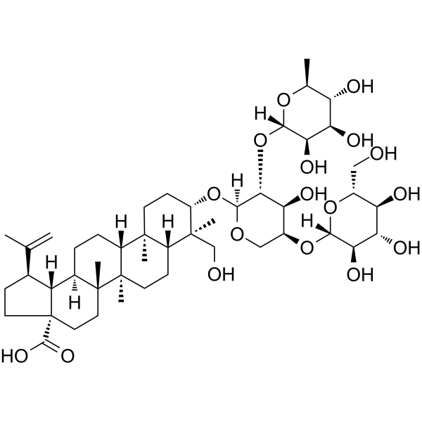 Lup-20(29)-en-28-oic acid Chemical Structure