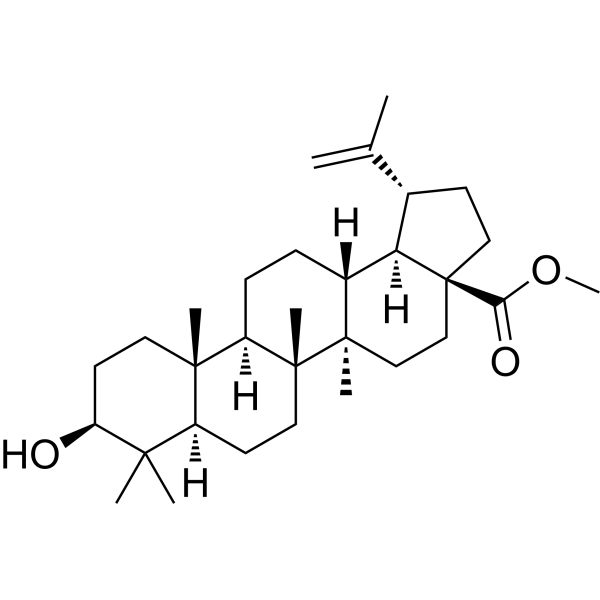 Betulinic acid methyl ester Chemical Structure