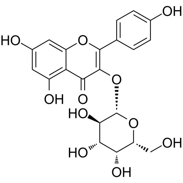 Kaempferol 3-O-β-D-galactopyranoside Chemical Structure