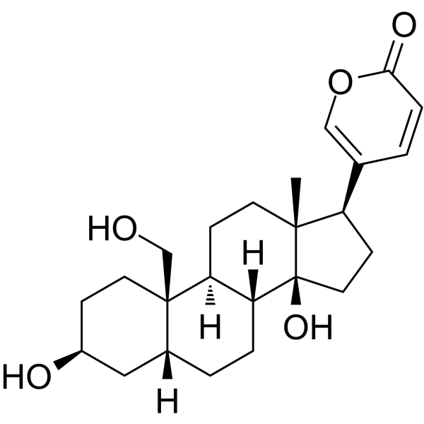 <em>19</em>-Hydroxybufalin