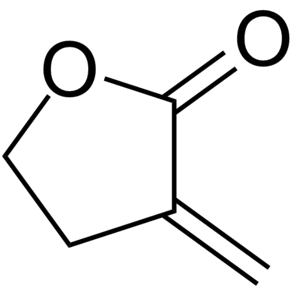 Tulipalin A Chemical Structure