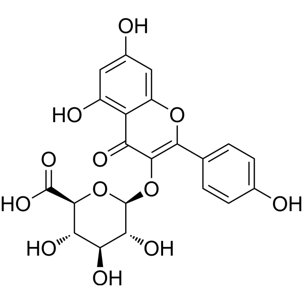 Kaempferol 3-O-β-D-glucuronide Chemical Structure