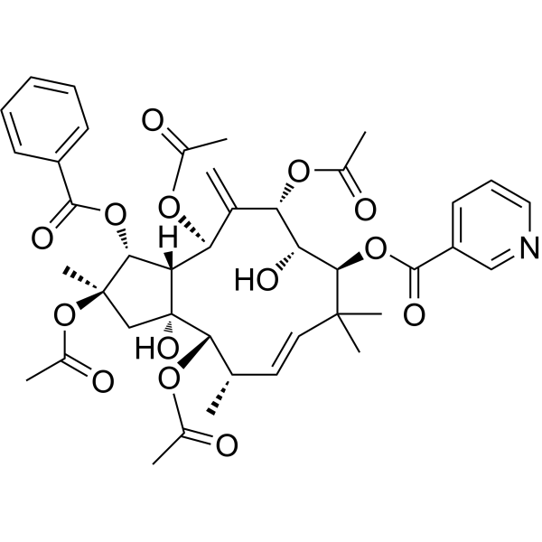 Jatrophane 5 Chemical Structure