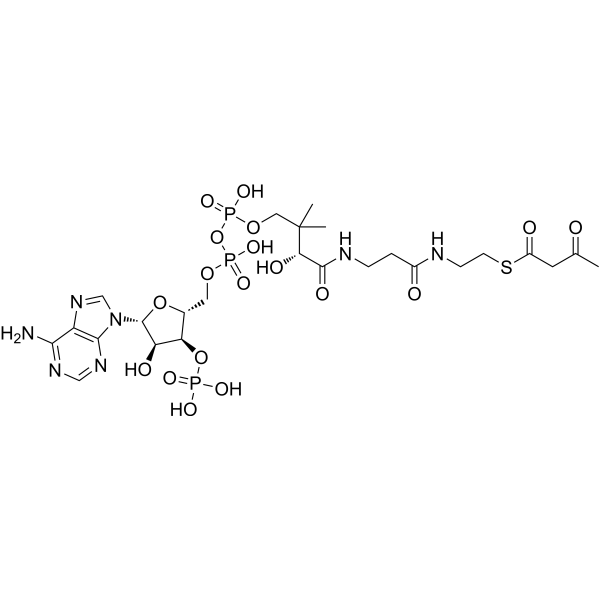 Acetoacetyl-CoA Chemical Structure