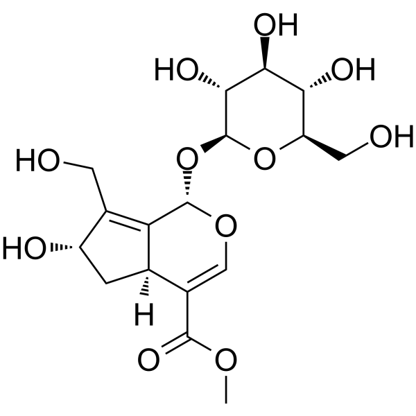 10-Hydroxy majoroside Chemical Structure