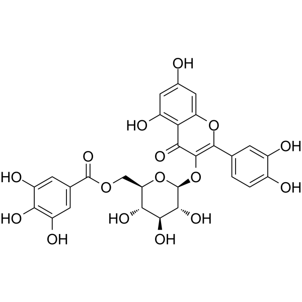 Quercetin 3-O-(6''-O-galloyl)-β-<em>D</em>-glucoside