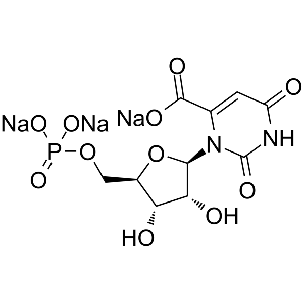 <em>Orotidine</em> <em>5′-monophosphate</em> <em>trisodium</em>