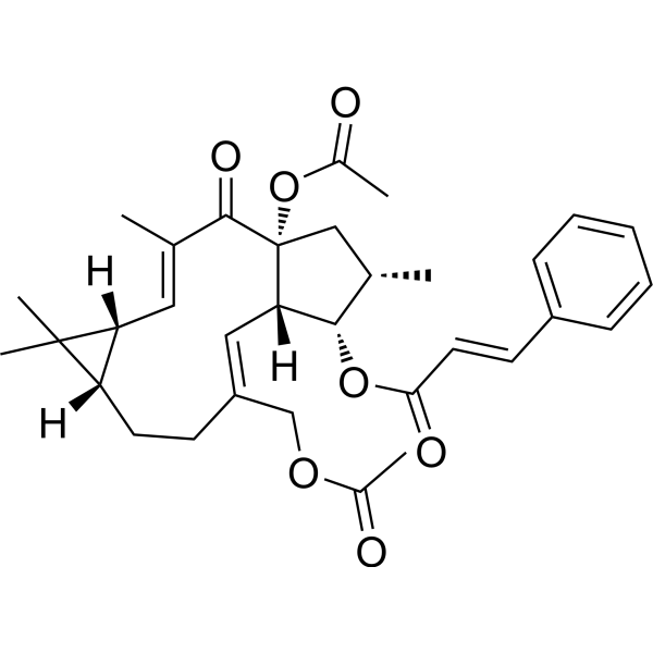 Euphorbia factor L7a Chemical Structure