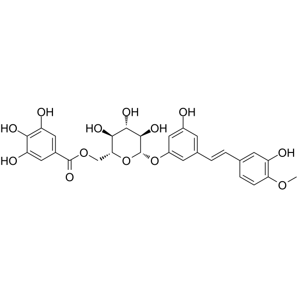 Rhaponticin 6′′-O-gallate Chemical Structure