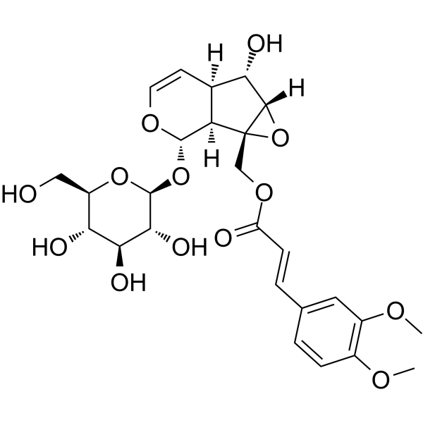 Lagotisoide D Chemical Structure