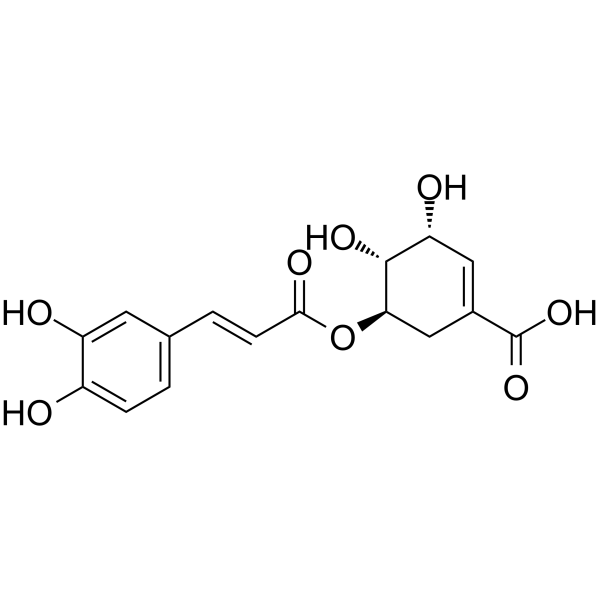 <em>5-O-Caffeoylshikimic</em> acid