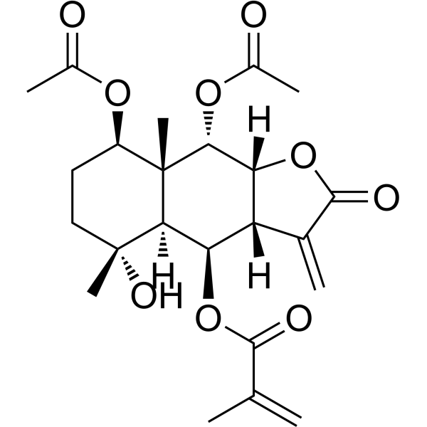 6-O-Methacrylate