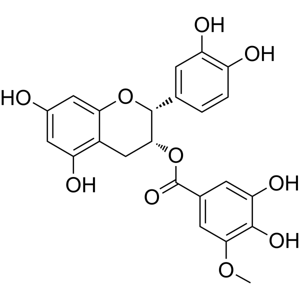 (-)-Epicatechin 3-(3-O-methylgallate) Chemical Structure