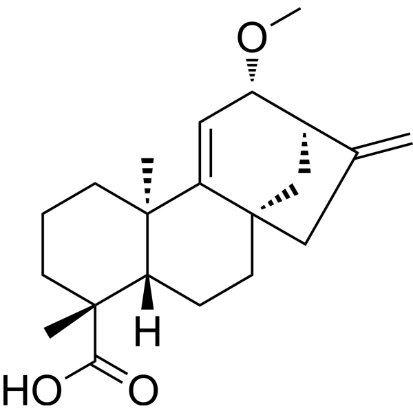 12α-Methoxygrandiflorenic acid Chemical Structure