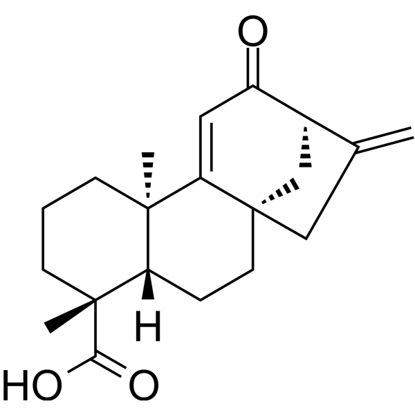 12-Oxograndiflorenic acid Chemical Structure