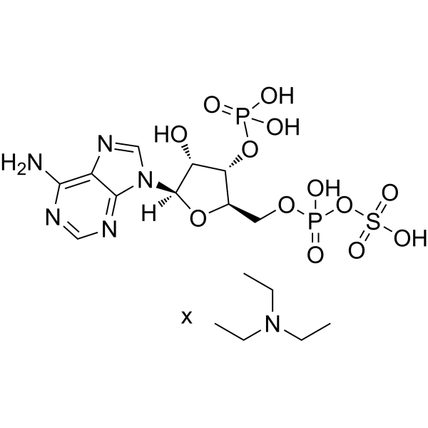 Adenosine 3'-phosphate 5'-phosphosulfate triethylamine