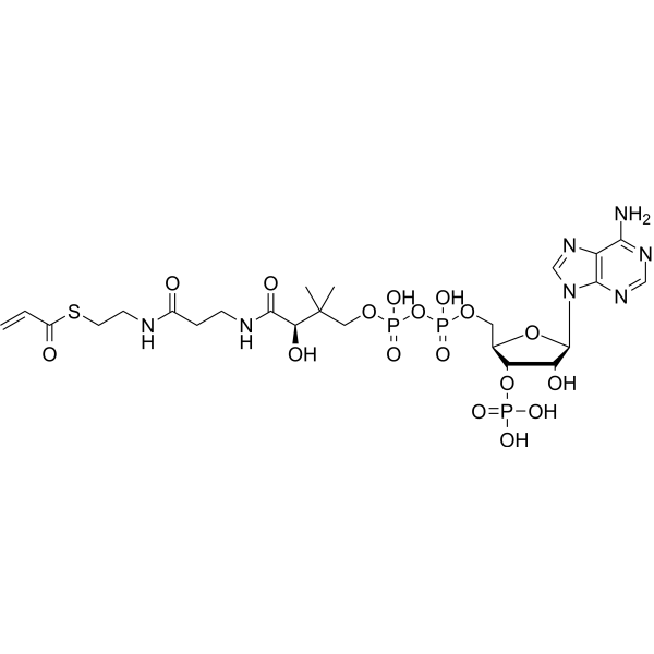 Acrylyl-CoA Chemical Structure