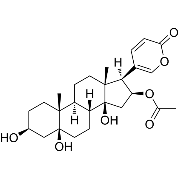 5β-Hydroxybufotalin