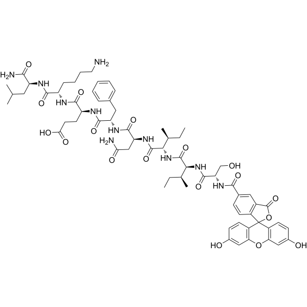 FAM-OVA (257-264) Chemical Structure