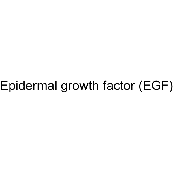 Epidermal growth factor (EGF)
