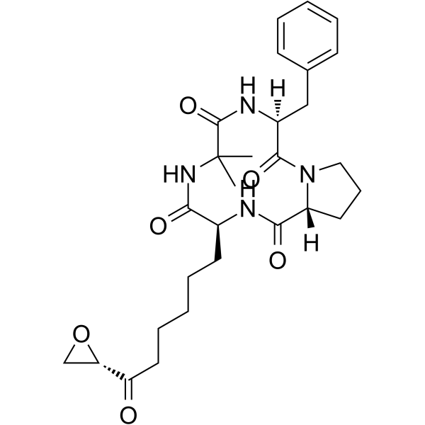 Chlamydocin Chemical Structure