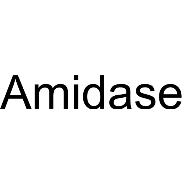 Amidase Chemical Structure